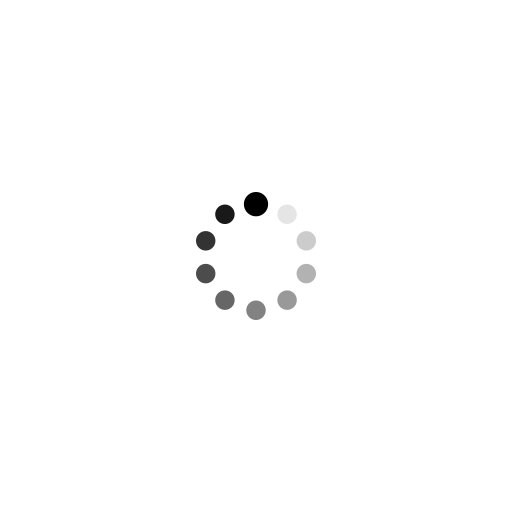 Hashiwokakero